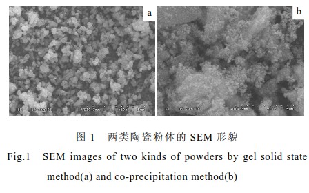 氧化锆陶瓷磨球的滚制成型法制备技术与性能研究