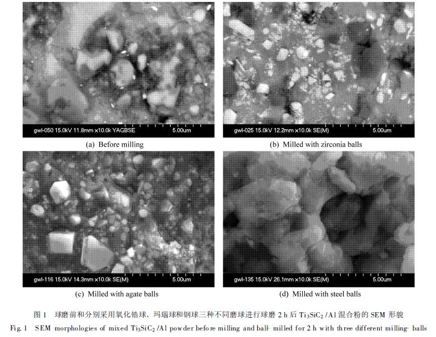 球磨前和分别采用氧化锆球、玛瑙球和钢球三种不同磨球进行球磨2 h 后Ti 3SiC2 /Al 混合粉的SEM 形貌